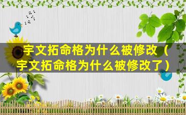 宇文拓命格为什么被修改（宇文拓命格为什么被修改了）