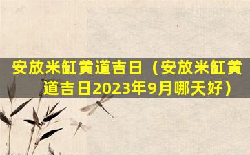 安放米缸黄道吉日（安放米缸黄道吉日2023年9月哪天好）