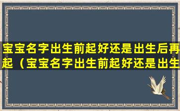 宝宝名字出生前起好还是出生后再起（宝宝名字出生前起好还是出生后再起比较好）