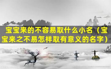 宝宝来的不容易取什么小名（宝宝来之不易怎样取有意义的名字）