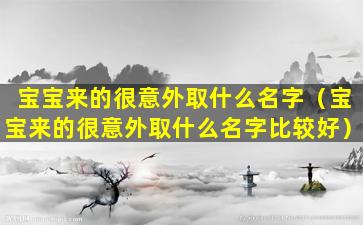 宝宝来的很意外取什么名字（宝宝来的很意外取什么名字比较好）