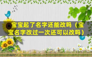 宝宝起了名字还能改吗（宝宝名字改过一次还可以改吗）