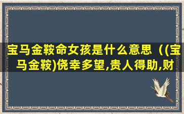 宝马金鞍命女孩是什么意思（(宝马金鞍)侥幸多望,贵人得助,财帛如裕,繁荣至上）