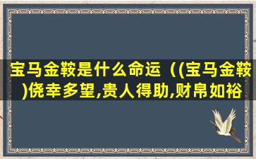 宝马金鞍是什么命运（(宝马金鞍)侥幸多望,贵人得助,财帛如裕,繁荣至上）