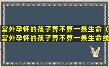 宫外孕怀的孩子算不算一条生命（宫外孕怀的孩子算不算一条生命线呢）