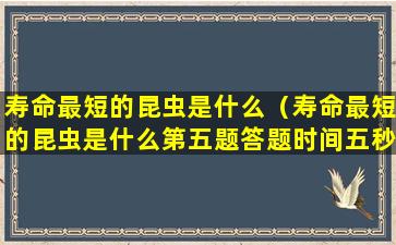 寿命最短的昆虫是什么（寿命最短的昆虫是什么第五题答题时间五秒现在开始）