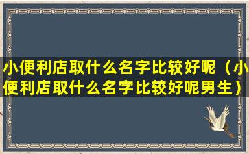 小便利店取什么名字比较好呢（小便利店取什么名字比较好呢男生）