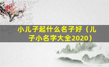 小儿子起什么名子好（儿子小名字大全2020）