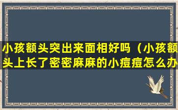 小孩额头突出来面相好吗（小孩额头上长了密密麻麻的小痘痘怎么办）