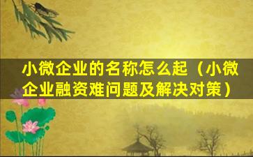 小微企业的名称怎么起（小微企业融资难问题及解决对策）