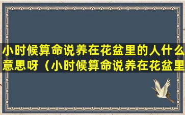 小时候算命说养在花盆里的人什么意思呀（小时候算命说养在花盆里的人什么意思呀是真的吗）