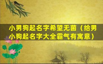 小男狗起名字希望无菌（给男小狗起名字大全霸气有寓意）