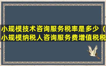 小规模技术咨询服务税率是多少（小规模纳税人咨询服务费增值税税率是多少）