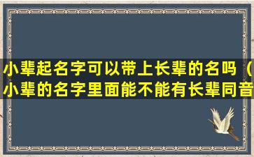 小辈起名字可以带上长辈的名吗（小辈的名字里面能不能有长辈同音的字）