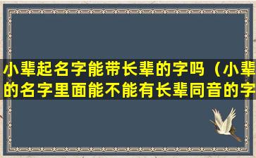 小辈起名字能带长辈的字吗（小辈的名字里面能不能有长辈同音的字）