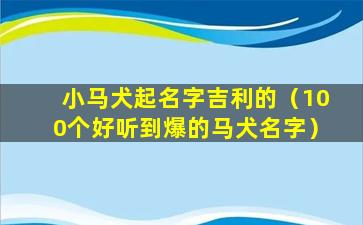 小马犬起名字吉利的（100个好听到爆的马犬名字）