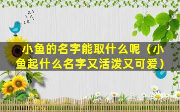 小鱼的名字能取什么呢（小鱼起什么名字又活泼又可爱）