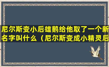 尼尔斯变小后雄鹅给他取了一个新名字叫什么（尼尔斯变成小精灵后,雄鹅给他取了一个新的名字叫）