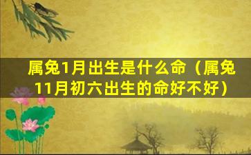 属兔1月出生是什么命（属兔11月初六出生的命好不好）