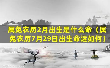 属兔农历2月出生是什么命（属兔农历7月29日出生命运如何）