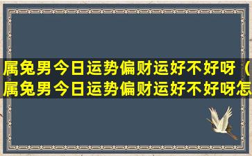 属兔男今日运势偏财运好不好呀（属兔男今日运势偏财运好不好呀怎么看）