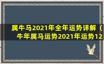 属牛马2021年全年运势详解（牛年属马运势2021年运势12生肖）