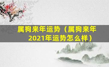 属狗来年运势（属狗来年2021年运势怎么样）