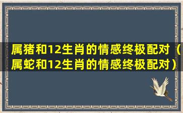 属猪和12生肖的情感终极配对（属蛇和12生肖的情感终极配对）