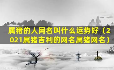 属猪的人网名叫什么运势好（2021属猪吉利的网名属猪网名）