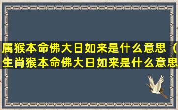 属猴本命佛大日如来是什么意思（生肖猴本命佛大日如来是什么意思）