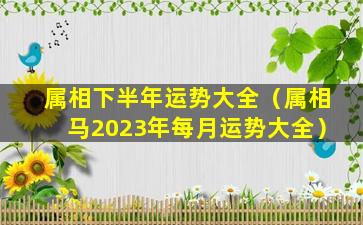 属相下半年运势大全（属相马2023年每月运势大全）