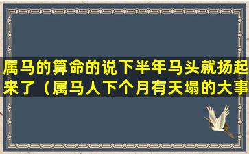 属马的算命的说下半年马头就扬起来了（属马人下个月有天塌的大事是什么意思了）