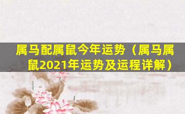 属马配属鼠今年运势（属马属鼠2021年运势及运程详解）