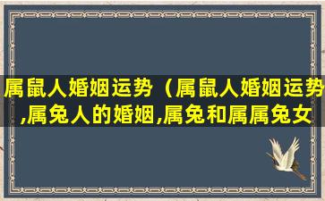 属鼠人婚姻运势（属鼠人婚姻运势,属兔人的婚姻,属兔和属属兔女和属虎男）