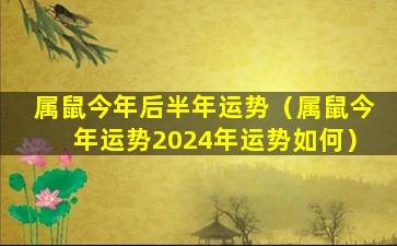 属鼠今年后半年运势（属鼠今年运势2024年运势如何）