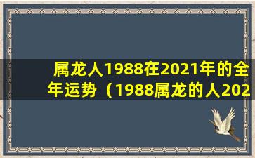 属龙人1988在2021年的全年运势（1988属龙的人2021年的运势及运程属龙的财运好吗）