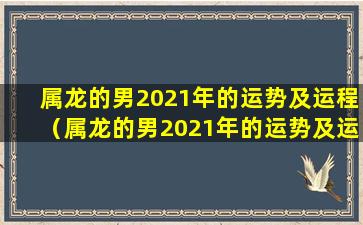 属龙的男2021年的运势及运程（属龙的男2021年的运势及运程怎么样）