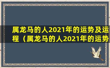 属龙马的人2021年的运势及运程（属龙马的人2021年的运势及运程如何）