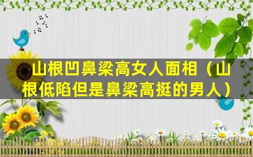 山根凹鼻梁高女人面相（山根低陷但是鼻梁高挺的男人）