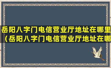 岳阳八字门电信营业厅地址在哪里（岳阳八字门电信营业厅地址在哪里啊）