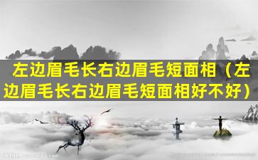 左边眉毛长右边眉毛短面相（左边眉毛长右边眉毛短面相好不好）