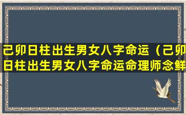 己卯日柱出生男女八字命运（己卯日柱出生男女八字命运命理师念鲜）