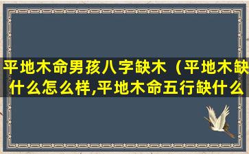 平地木命男孩八字缺木（平地木缺什么怎么样,平地木命五行缺什么）