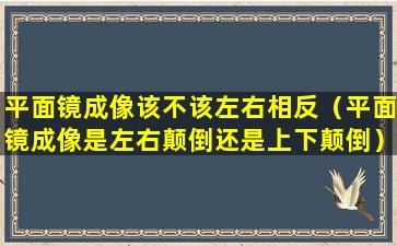 平面镜成像该不该左右相反（平面镜成像是左右颠倒还是上下颠倒）