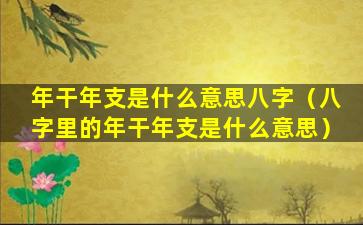 年干年支是什么意思八字（八字里的年干年支是什么意思）