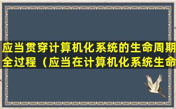 应当贯穿计算机化系统的生命周期全过程（应当在计算机化系统生命周期中保持其）