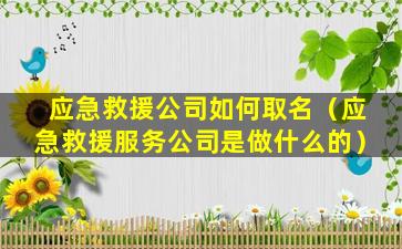 应急救援公司如何取名（应急救援服务公司是做什么的）