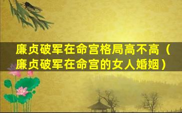 廉贞破军在命宫格局高不高（廉贞破军在命宫的女人婚姻）