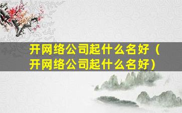 开网络公司起什么名好（开网络公司起什么名好）