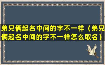 弟兄俩起名中间的字不一样（弟兄俩起名中间的字不一样怎么取名）